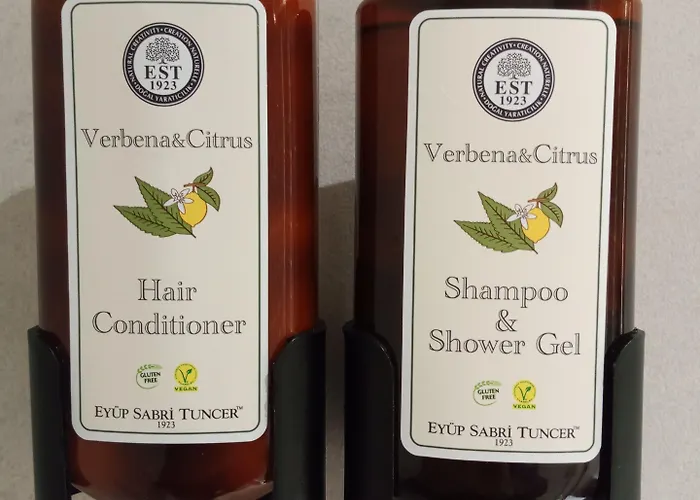 Taksim Bosphorus Isztambul