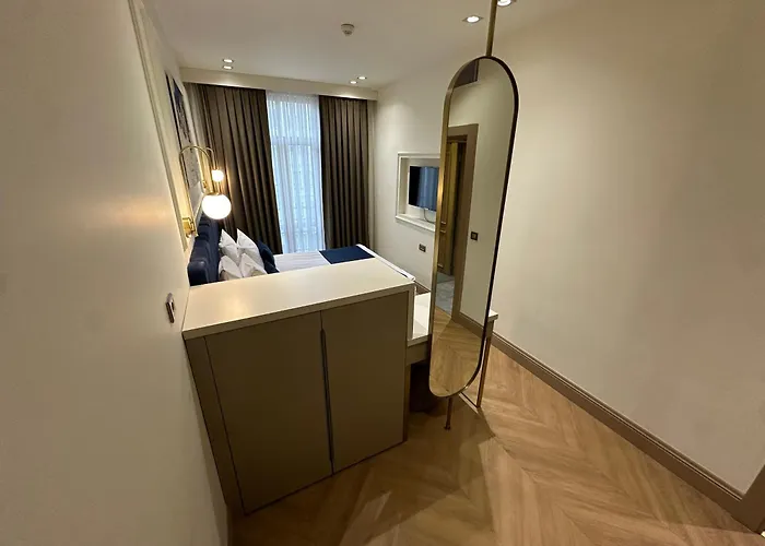 酒店 Taksim Bosphorus 伊斯坦布尔